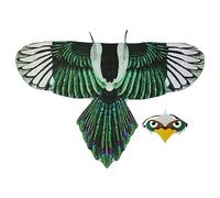 Générique Bird Costume - Children's Eagle Wings, Chiffon Fabric with | Adjustable Shoulder Strap Outfit for Role Play Halloween Party Boys Girls Kids Age Three to Eight