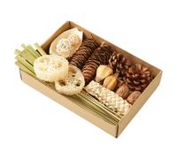 Générique Bird Foraging Box | Foraging Chewing Shredding Enrichment Box