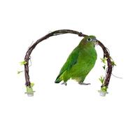 Générique Bird Perch | 65cm Resin Realistic Bendable Enrichment | Cage Mount Bird Stand for Parrots | for Parakeets Lovebirds Canary Conures Small Medium Large Breeds