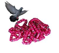 Générique Birdhouse Accessories, Birdhouse Accessories, Pigeon Leg Bands, Safe Rings, Racing Pigeon, Bird Foot Rings, Birds Supplies, Identification Supplies, About 0.8cm/0.31 inches