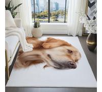 Générique Blanc Tapis Vintage pour Salon 40x60 cm, Animal Portrait De Golden Retriever Tapis Lavables avec Dos Antidérapant, Carpette à Poils Courts pour Cuisine Salle à Manger Bureau et Chambre