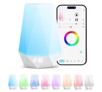Générique Bluetooth White Noise Machine with App Control, Sleep Soothing White Noise Machine with 8 Colors Night Light,Portable USB Chargeable Sounds Machine for Sleep Travel Office