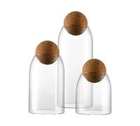 Générique Bocaux de Stockage en Verre avec Couvercles | Contenant Transparent pour Fruits Secs | Lot de 3 avec Couvercle Multiusage pour Thé, Confiserie, Épices, Café et Sel