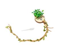 Générique Boîte d ' élevage d ' araignées sauteuses Transparente, décoration de Terrarium de Reptiles Faite à la Main avec Plats d ' Eau et suspensions, Plate-Forme de prélasser pour