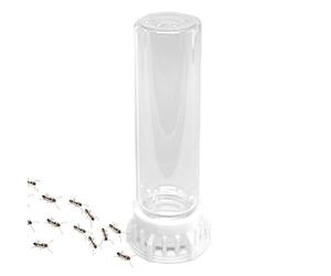 Générique Boîte d'alimentation en Eau pour Fourmis en ABS 10x3x3cm, Accessoire De Nid De Fourmis Étanche Et Antidérapant pour Fermes Ďe F́ourmis, Bol D'hydratation avec Emballage Đe Sac Séparé (30g)