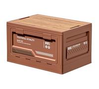 Générique Boîte de Rangement Camping-Car pour Ford F-150 Short Bed SuperCab,Organisateur de coffre pliable pour vêtements, jouets, livres, snacks, chaussures, rangement d'épicerie