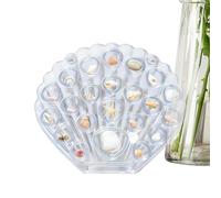 Générique Boîte présentoir coquillage | Base Antidérapante Multis-Compartiments - Écrin à coquillages et boîte à bijoux - pour Maison Chambre Bureau Appartement Hôtel Rebord de Fenêtre Table Bureau