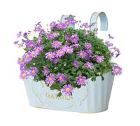 Générique Boîtes à Fleurs pour Les Garde-Corps, ur de Balcon | de Pont hangable en métal,Boîtes à Fleurs de fenêtre de Campagne pour Jardin, Pots de de décoration de Maison