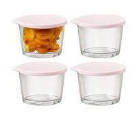 Générique Bol En Verre Avec Couvercle | 4 Pièces Bocaux Hermétiques - Préparation De Repas Et Garde-Restes - Pour Cuisine Cuisson Réfrigérateur Congélateur Déjeuner Salade Yaourt Fruit