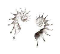 Générique Boucles d ' oreilles conque accrocheuses, anneaux réglables assortis, bijoux élégants axés sur les détails, pour les personnes à la mode, bijoux confortables