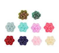 Générique Boucles D'oreilles Succulentes en Argile Polymère pour Fille, 10 Pièces, Élégantes et Amies Peau, pour Usage Quotidien ou Occasions Formelles