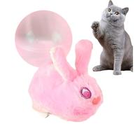 Générique Boule Interactive pour Les Chats - Jouet Interactif Intelligent,Boules Roulantes Rechargeables pour Chats - pour Chatons Jeu d'Intérieur Exercice et Divertissement