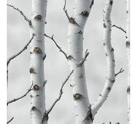Générique Bouleau 3D Papier Peint Adhesif Forêt Arbre Branche Motif Mural Film Décoratif Meuble Intissé Wallpaper Autocollant Imperméable Mat Stickers Collant pour Armoires Murs Salon Chambre 0.3X3 M