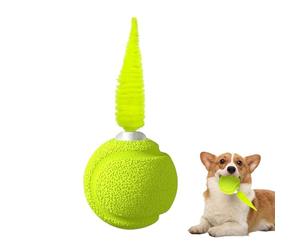 Générique Boules pour Chat | Sphère en Caoutchouc Roulante Qui Couine,Jouet Interactif pour Chat Bondissant Et Mobile | Anti Ennui, Jeu d'Intérieur, pour Taquiner et Attraper