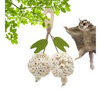 Générique BOULEURS BOITS - Toys DE LA Shredder Chewing Parrot, Jouets de Recherche de Nourriture interactifs | Accessoires d'oiseaux engageants pour Conures, caloches, l'exercice de Bec, balles Colo