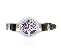 Générique Bracelet de diffuseur d'huile Essentielle, Ensemble de Cadeaux de Bijoux de Bracelet de diffuseur d'Aromatherapy de diffuseur réglé pour