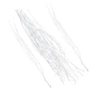 Générique Branches de Bouleau Blanches Séchées Résistant Corrosion 12 Pièces Remplissage de Vase en Bois Naturel pour Décoration Maison pour Bureau ou Coin Décoratif