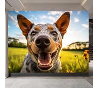 Générique Bull Terrier Papier Peint Photo, Animal Papier Peint Photo Intissé, Mat Papiers Peints Poster pour Chambre Salon Chambre d'enfants Mur de fond TV Dortoir Décoration 500 x 280 CM