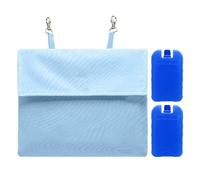 Générique Bunny Cage Ice Pack - Small Pet Cooling Accessories | Rabbit Cooling Ice House | Fabric + PP, 25x22cm Outer Bag, 2 Icé Packs, for Rabbits Guinea Pigs Hamsters Chinchillas Ferrets Summer