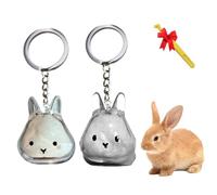 Générique Bunny Fur Keepsake, Rabbit Keychain Pendant Memorial Charm, Transparent Rabbit Hair Collection Storage Capsule Locket Bottle