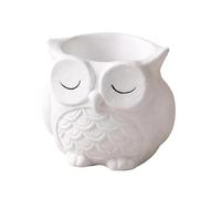 Générique Cache-Pot,Statuette Décorative en Résine,Figurines Cache-Pot Intérieur | pour succulentes et Cactus, intérieur et extérieur : Bureau, étagère, Rebord de fenêtre, Balcon, terrasse, Jardin