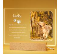 Générique Cadeaux Commémoratifs Souvenir Chien Décédé - pour des Amants d'animal Familier, Photo Commémorative Animal Domestique avec Lumière LED, Cadeaux De Perte d'animaux, Style2