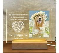 Générique Cadeaux Commémoratifs Souvenir Chien Décédé - pour des Amants d'animal Familier, Photo Commémorative Animal Domestique avec Lumière LED, Cadeaux De Perte d'animaux, Style1