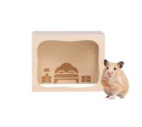 Générique Cage à Hamster à Tunnel d'enrichissement pour Animaux