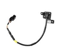 Générique Caméra de Plaque d'immatriculation Caméra de recul et d'aide au stationnement pour Hyundai IX35 (2018-2019) (95760S6000)