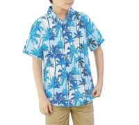Générique Camiseta estampada Para niño, Informal, de Manga Corta, Con botones, Ligera, Para Verano, Playa, isla Tropical, Con Estampado gráfico. (Sky Blue, 3-4 Years)