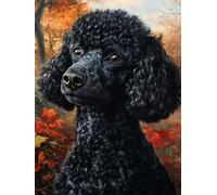 Générique Caniche noir Kit de Broderie Point de Croix 11CT Pré-imprimé - Idéal pour Débutants et Adultes, Activité DIY pour la Décoration Intérieure 30x40cm 1284