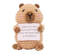 Générique Capybara au Crochet - Capybara Tricoté,Décoration Peluche Inspirante avec Carte Message Motivant pour Bureau Domicile Anniversaire Fête