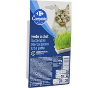 Générique Carrefour - Herbe à Chats Naturelle et Savoureuse pour Bien-être Félin, Boîte Pratique 150g