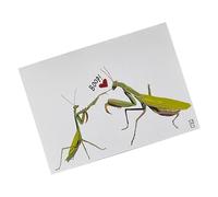 Générique Carte de Saint-Valentin, Anti-Cliché Distinctif, 15x12cm, carte de Saint-Valentin, bordereau de vœux romantique, Délicieux Humour Romantique, pour Lui Son Mari