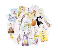 Générique Cartes Oracle Jeux de société spirituels Perroquet