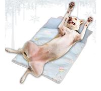 Générique Cat Cooling Mat, Cool Pet Pad, Lightweight Foldable Breathable with Pillow, Ice Gel Mat for Hot Weather, Crate, Sofa, Car, Travel and Post Exercise
