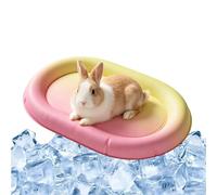 Générique Cat Cooling Mat | Lightweight Cushion Scratch Resistant | Waterproof Dog Cooling Pad | for Indoor Outdoor Home Car Travel Patio Crate Puppy Kitten Sleeping and Daily Relaxation Use