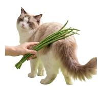 Générique Cat Exercise Toys - Realistic Green Bean Interactive Play Set, Soft Sponge Enrichment Activity Toy, Mental Stimulation and chasee Game | Keeps Kittens Puppies Engaged During Daily Exercise