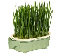 Générique Cat Grass Planter Tray - Hydroponic Cat Grass Seed, Cats Grasses Planter Soil Free Catnip Planting Playing - Stimulant Et Digestif, 4 Sachets De Et De Substrat, Adaptés À Les Chat