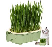 Générique Cat Grass Planting Box, Indoor Hydroponic Planter, Soil-Less -Watering Design, Hollow-Out Container for Growing Fresh Cats Grass Windowsill & Courtyard, 6.46x3.46x2.01 inches