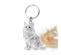 Générique Cat Hair Collector Keychain Charm Memorial Storage Box, Clear Bottle for Pet Hairs Keychain, Pets Keepsake Keyring for Collecting Hair, Portable Pet Memory, Forever Present for Pets Lovers