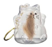 Générique Cat Hair Keychains, Cats Hair Storage Box Pendants, 1.57x3.15 inches Animal Memorial Souvenir, Personal Accessory for Women Boys Girls Youth Teens, Color Transparent and Easy to Install