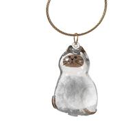 Générique Cat Hair Storage Bottle - Clear Portable Small Keepsake Container for Pet Memories | Compact Transparent Bin for Travel Car Home Crafting Sympathy Gift for Friends Family