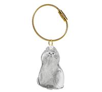 Générique Cat Hair Storage Bottle | Pet Memorial Keepsake,Keepsake Cat Storage Pendant for Backpack, Bag, Wallet, Keychains and Others