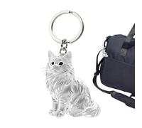 Générique Cat Keychain - ABS | Cat Shape Key Ring | Pet Hair Collector Keepsake Pendant With Keychain | Animal Keepsake Box For Backpack Purse Keychains Wallet Bag Charms