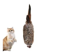 Générique Cat Toy Plush - Interactive Kitten Plaything Soft | Realistic Design Bite Resistant Engaging Self Play Entertainment Chew Toy for Boredom, Relief, Exercise, Home, Cattery Pet Or Store Use