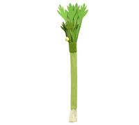Générique Cats Sticks, Interactive Cat Toy, 9.45x1.57x0.39 inches Celery Stick with Bell Natural Chew Encourages Health Engaging Texture, Pet Play for Exercise, Training and Hunting
