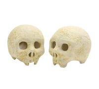 Générique Ceramic Fire Pit Skull Set, Fireproof Human Skull Decor, Realistic Bone Texture, Heat-Resistant Design, 2pcs White Sculptures for Halloween, Made of Ceramic Material, 2.8x2.2x2.3in