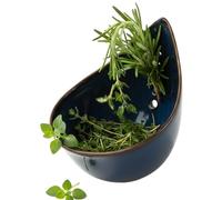 Générique Ceramic Stripper Bowl, Plant Separating Tool and Container for Gardeners, Apartment, Dinner Party, Picnic, Home Cooks, RV, Camping, Dorm, Women, Men, Cooking