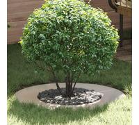 Générique Cercle de Jardin Acier Inoxydable Grand Résistant Circulaire,Pots & Cache-Pots,2.65KG-873684